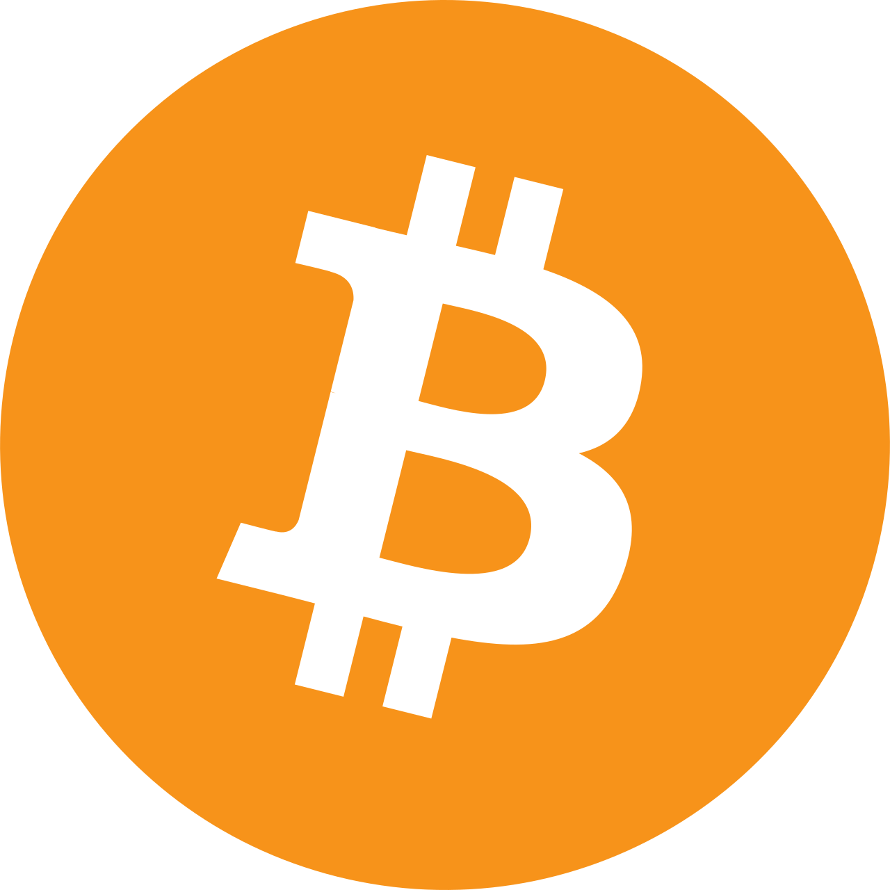 Logo di Bitcoin, la criptovaluta presa di mira dal phishing contro gli utenti di Foundation Passport ed Electrum