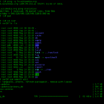Finestra di un terminale a riga di comando su Linux, lo strumento da cui è nato Warp