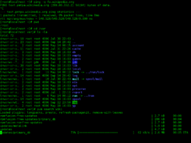 Finestra di un terminale a riga di comando su Linux, lo strumento da cui è nato Warp