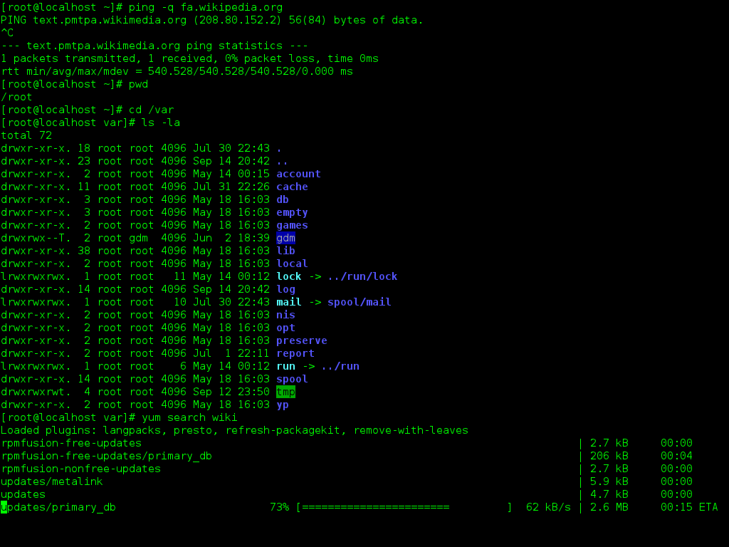 Finestra di un terminale a riga di comando su Linux, lo strumento da cui è nato Warp